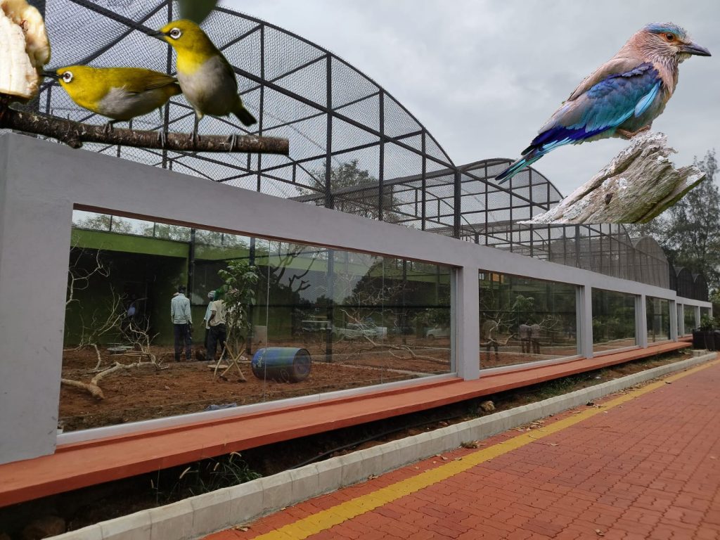 Chirping of birds will grow in Bhutramhatti