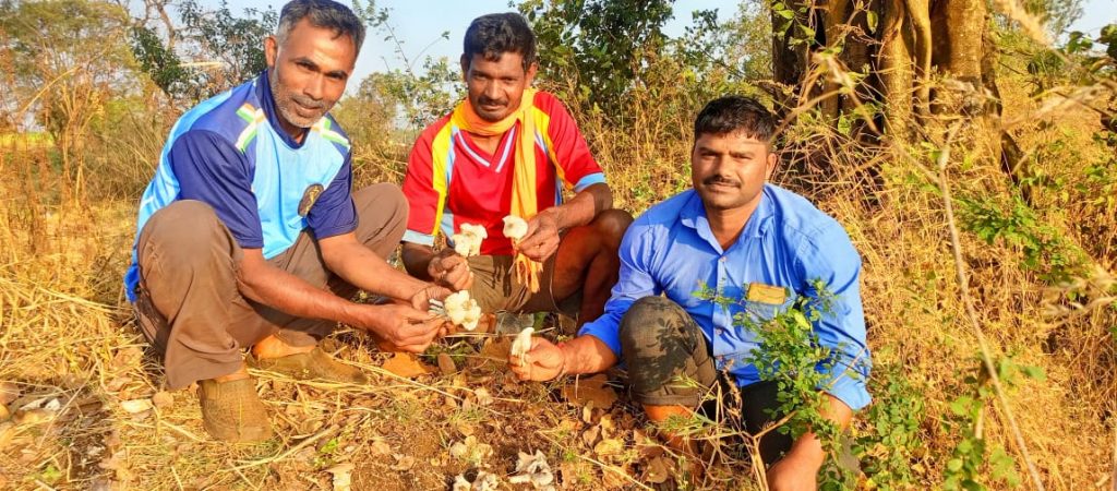 Alambi was found in winter