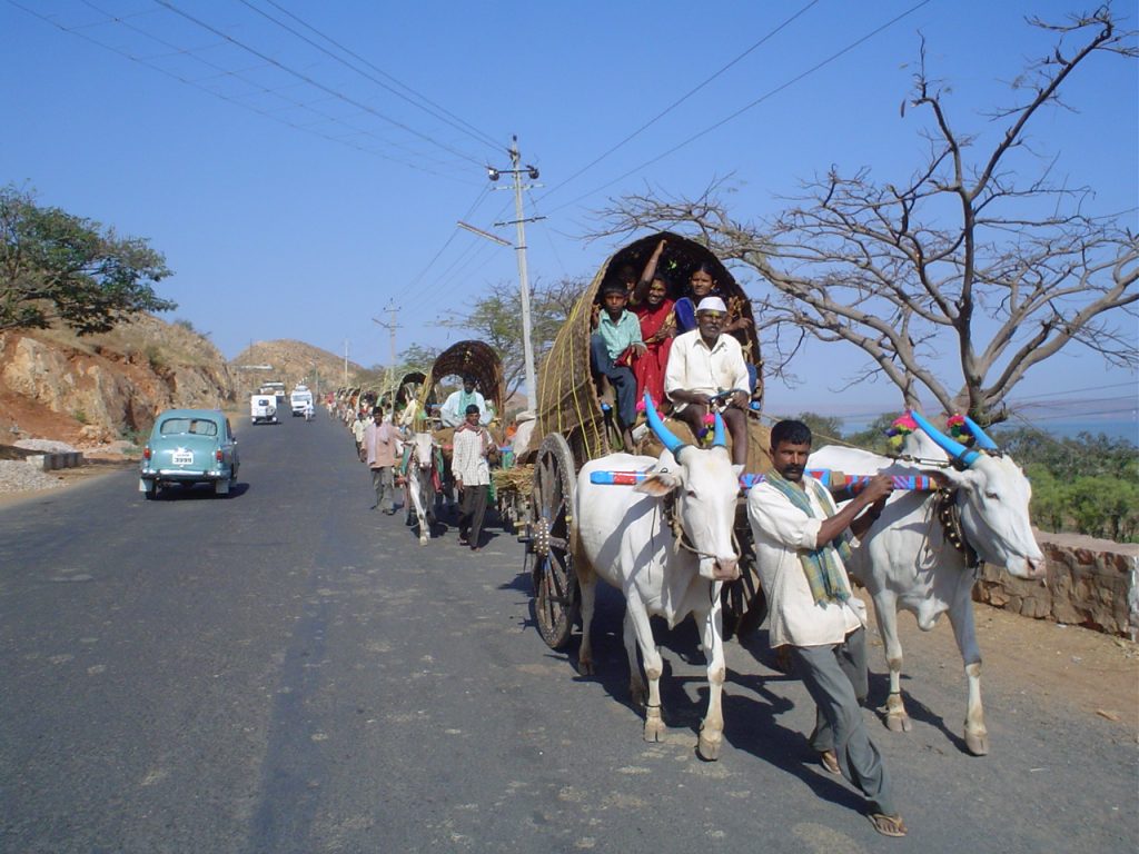 Pilgrimage of devotees on Yallamma hill