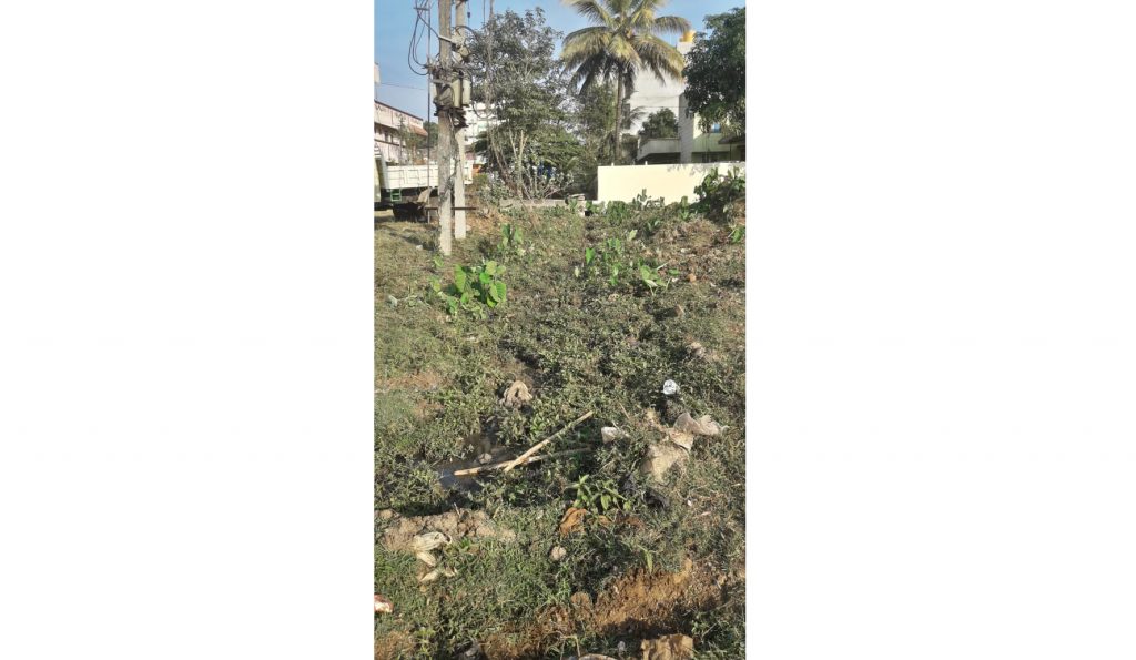 Sewers in Saraswatinagar are covered with bushes