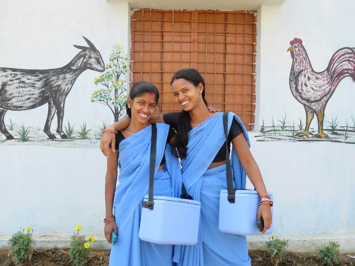 पशुसखी दिसणार नव्या लुकमध्ये Animal lovers will be seen in a new look