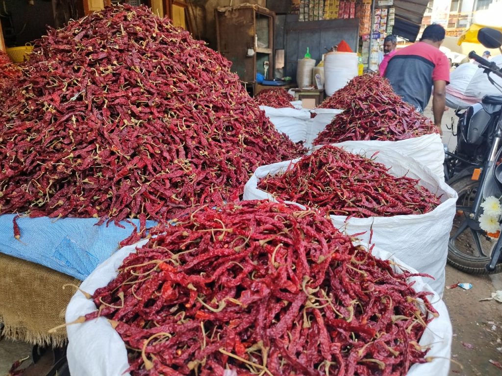 Red chilli prices within reach