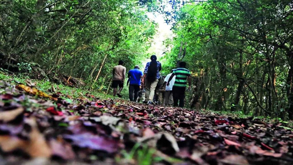 Trekking without a license is dangerous!