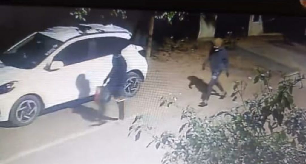 Non-stop burglary sessions