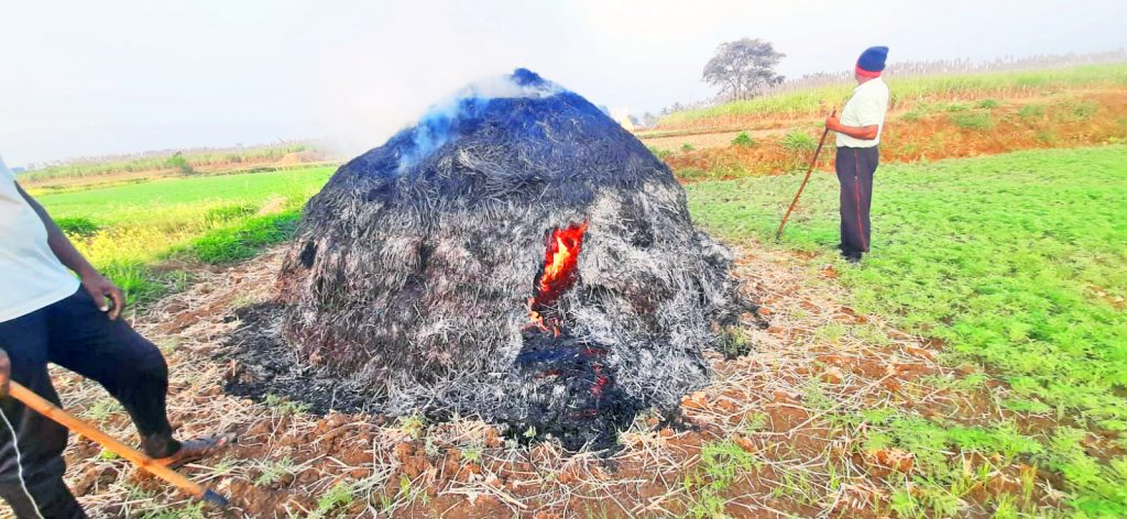 Burn the paddy in the cornfield