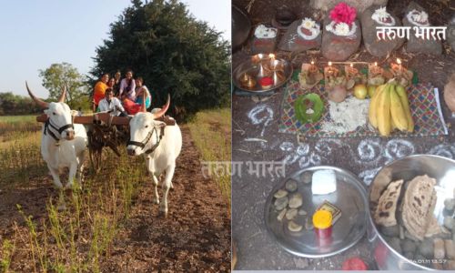 निसर्गाशी नाळ जपणारी ‘वेळा अमावस्या’ उत्साहात साजरी; ओलगे-ओलगे सालम पोलगे घोषणेने शिवारं गच्च Vela Amavasya