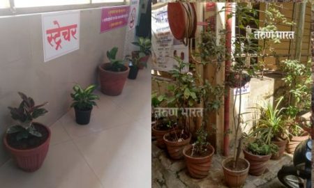 पंचगंगा रूग्णालय बनले ऑक्सिजन पार्क; रूग्णालयातच उभारली औषधी बाग व टेरेस गार्डन Panchganga Hospital Oxygen Park