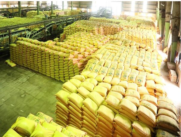 सल्फर कोटेड युरिया लाँच करण्यास मान्यता Approval to launch Sulfur Coated Urea