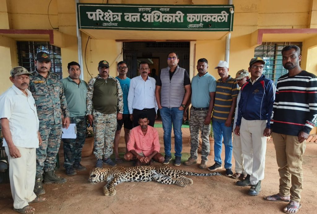 साळीस्ते येथे फासकीत अडकून बिबट्याचा मृत्यू