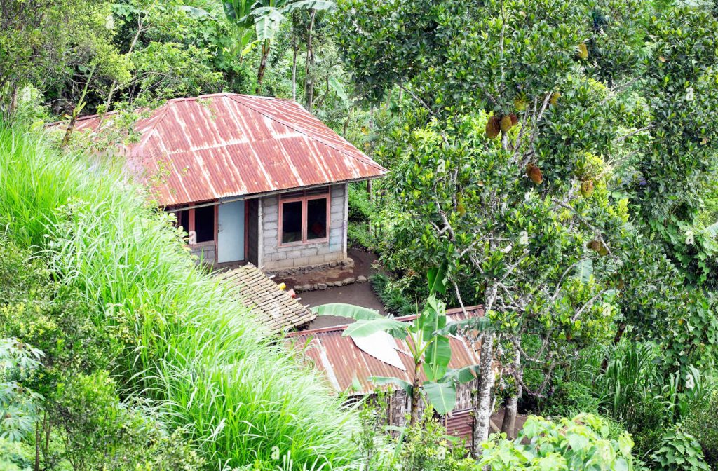 A house that can be built in a private forest