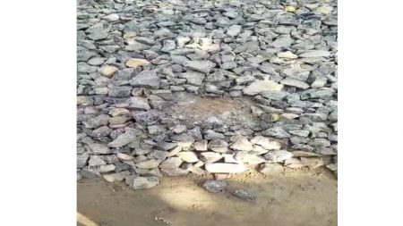 दाणोली – देवसु -पारपोली रस्त्याचे काम निकृष्ट दर्जाचे