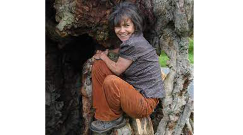 फिल्मी वाटावी अशी महिलेची कहाणी A woman's story that should look like a film