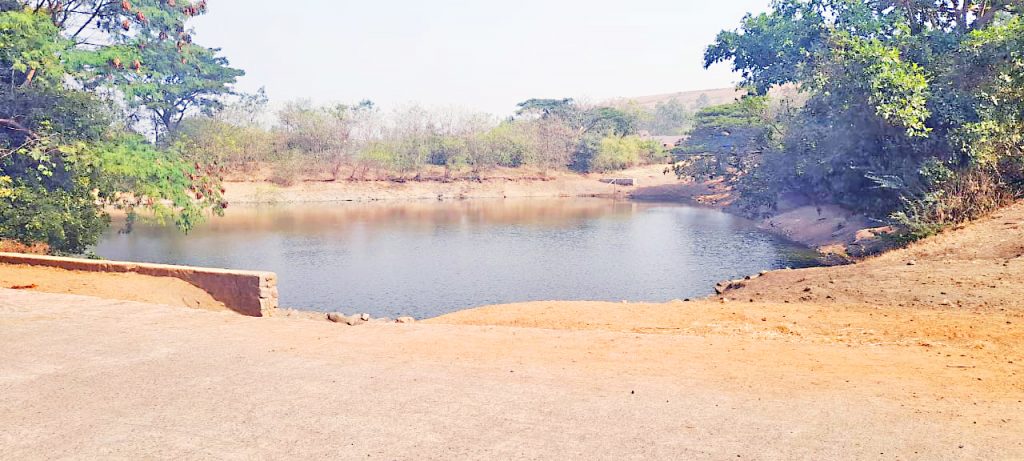 Bhavkeshwari lake got stuck in thorn bushes