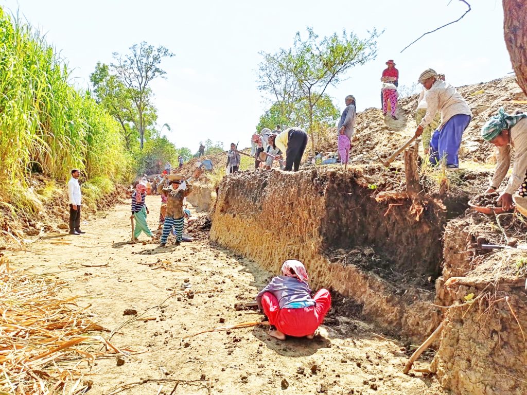 ROHYO work started under NREGA scheme in Nandihalli