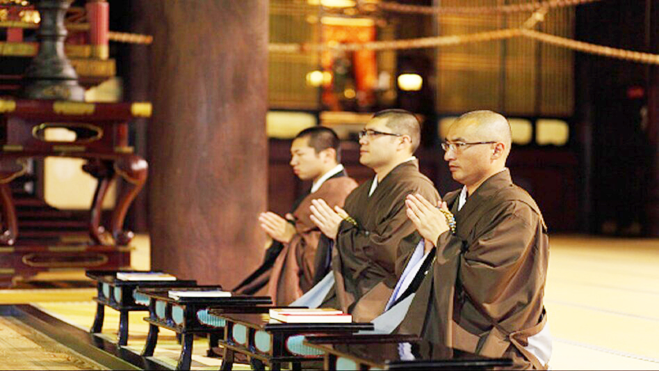 A company that pays homage to insects