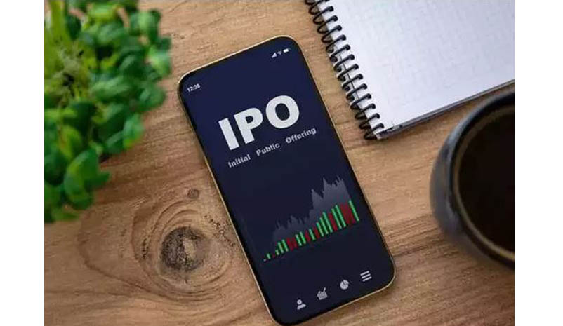 Medi Assist Healthcare Services IPO next week