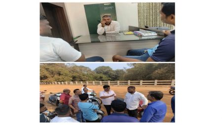 भेडशी पुलाचे काम कासवाच्या गतीने !