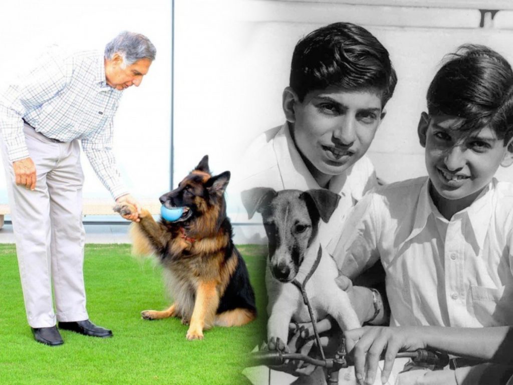 रतन टाटा यांनी मुंबईत उभारला 165 कोटींचा प्राणी रुग्णालय Ratan Tata set up a 165 crore animal hospital in Mumbai