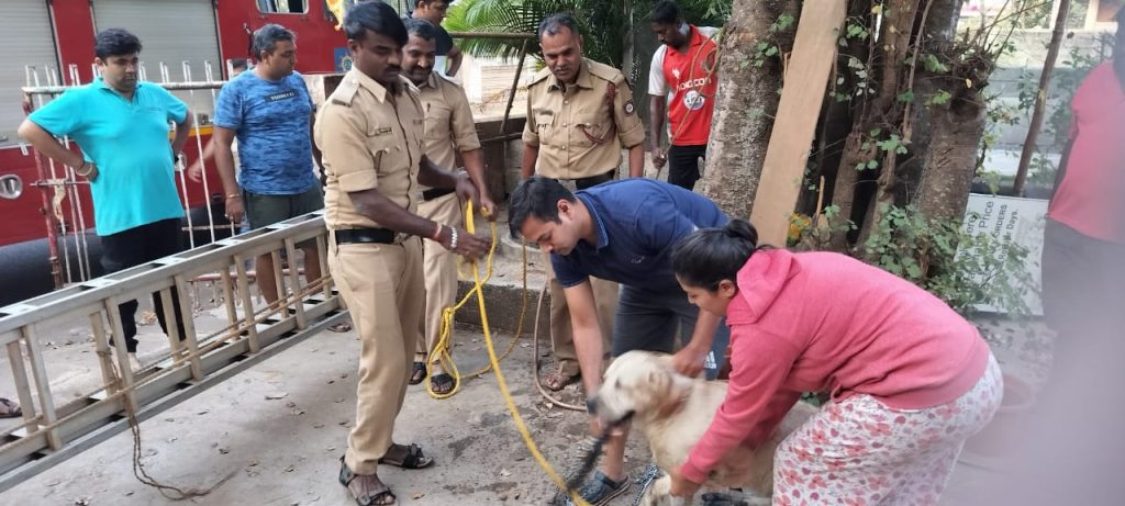 विहिरीत पडलेल्या कुत्र्याला अग्निशमनकडून जीवदान Firefighters rescue a dog that fell into a well