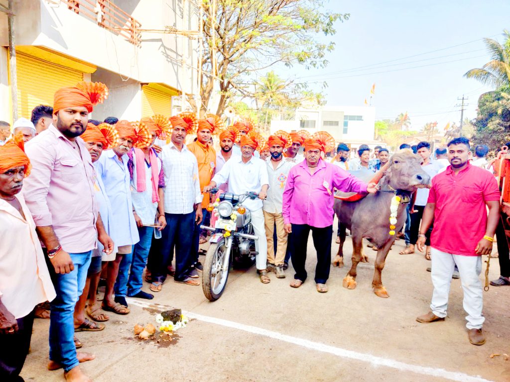 मोटारसायकलसोबत म्हैस पळविण्याची शर्यत उत्साहात Buffalo race with motorcycle in excitement