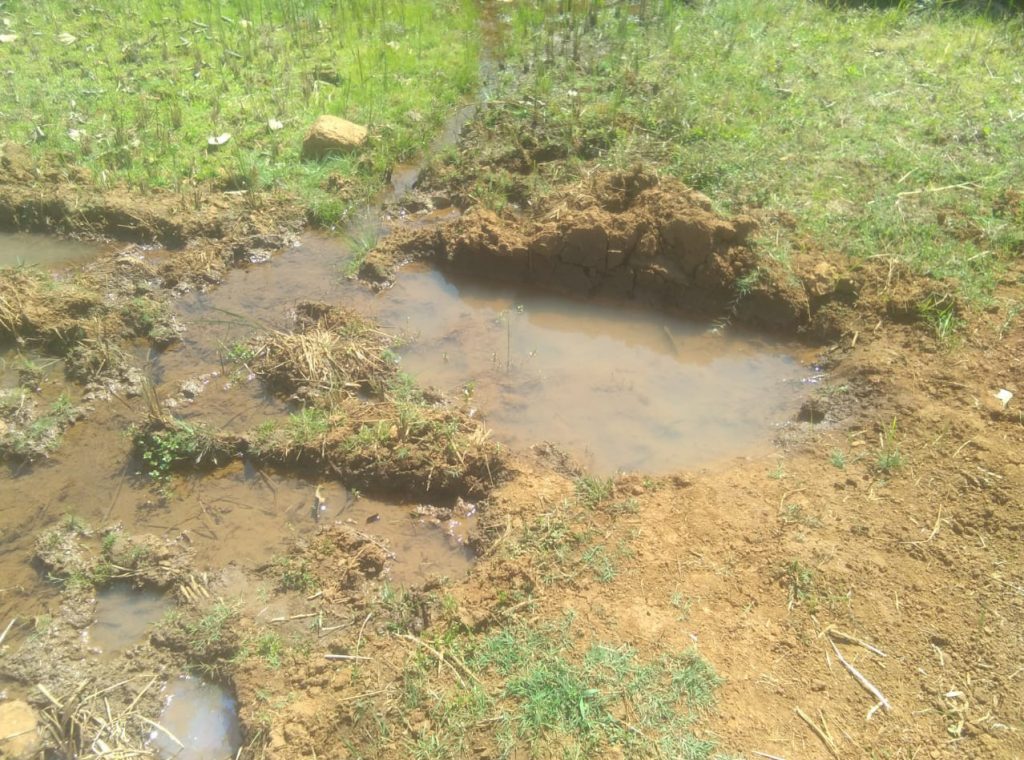 Ignoring the cleanliness of the tap water supply scheme in Amte