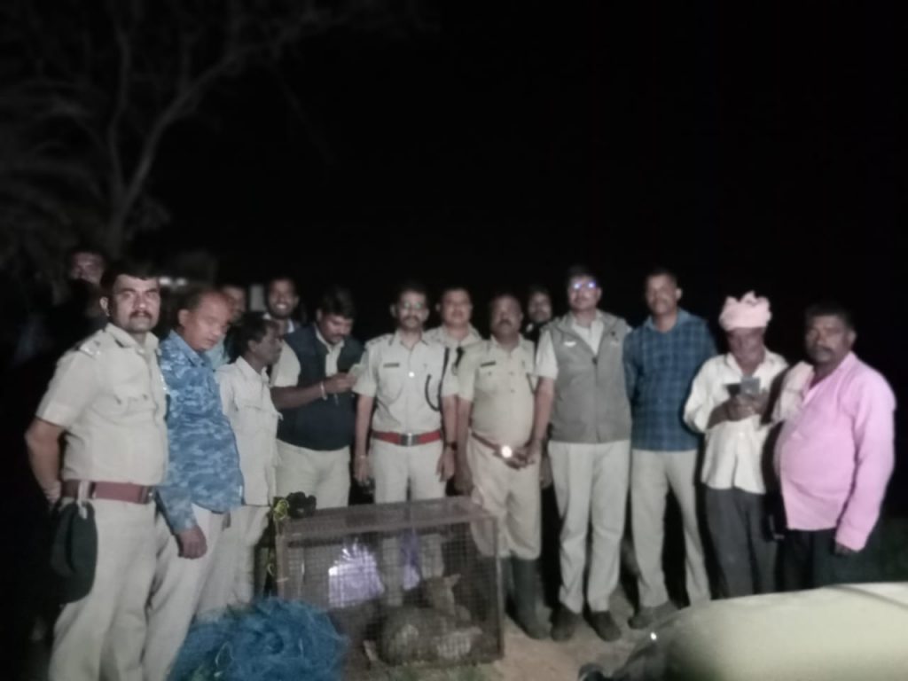 Rescue the fox that fell into the well