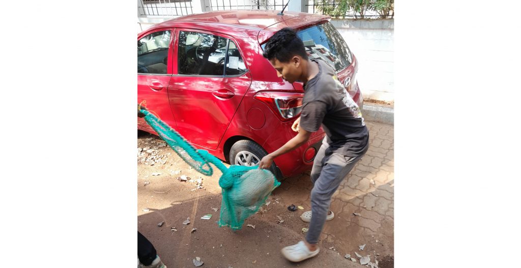 After the attack, the campaign to catch the stray dogs started