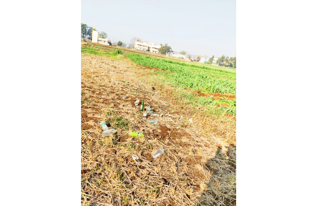In the Ainwad field near Uchgaon, the threshing of Talirams