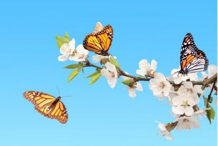 The genes are the same for two and a half million years