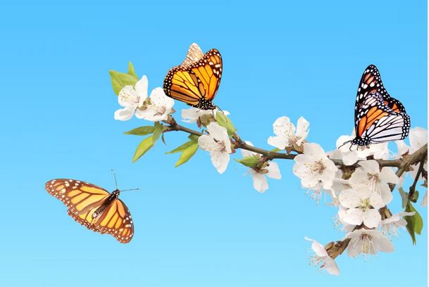 The genes are the same for two and a half million years