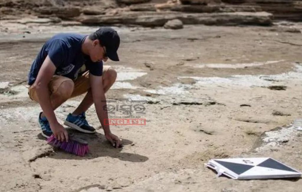 Footprints 1 lakh years old