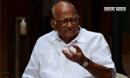 प्रामाणिक निष्ठा अन् निवडून येण्याची क्षमता…हाच उमेदवारीचा निकष! ज्येष्ठ नेते शरद पवार यांनी दिले संकेत Sharad Pawar