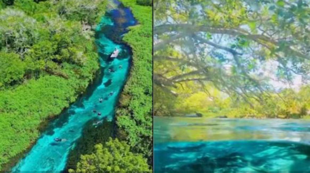 इतकी स्वच्छ नदी Such a clean river