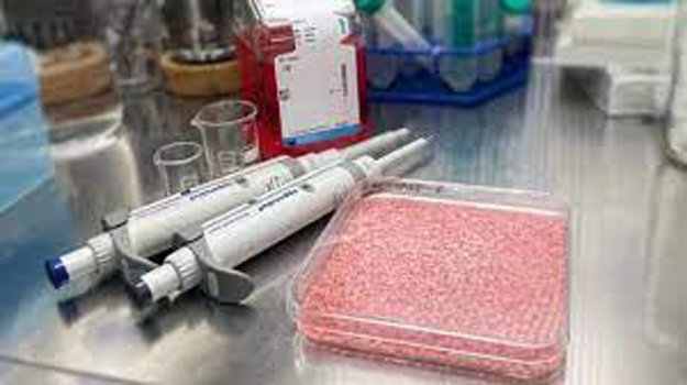 Now you will get 'non-vegetarian rice'