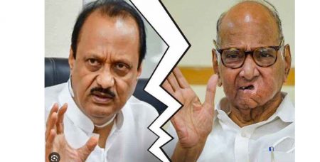 ‘राष्ट्रवादी काँग्रेस-शरदचंद्र पवार’ पक्षाचे नाव; शरद पवार गटाला मिळणार नवे चिन्ह Sharadchandra pawar