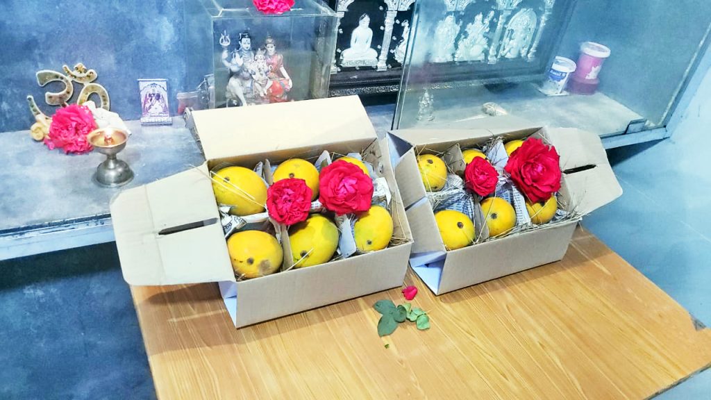 Hapus, the king of mangoes, entered Belgaum