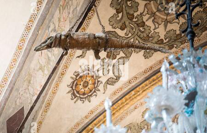 Crocodile carcass hung in church for 500 years