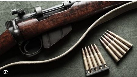 वडिलांसह 12 नातलगांची बंदुकधाऱ्याकडून हत्या 12 relatives including father killed by gunmen