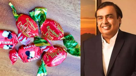 रावळगाव शुगर फार्मचे रिलायन्स करणार अधिग्रहण Reliance will acquire Rawalgaon Sugar Farm