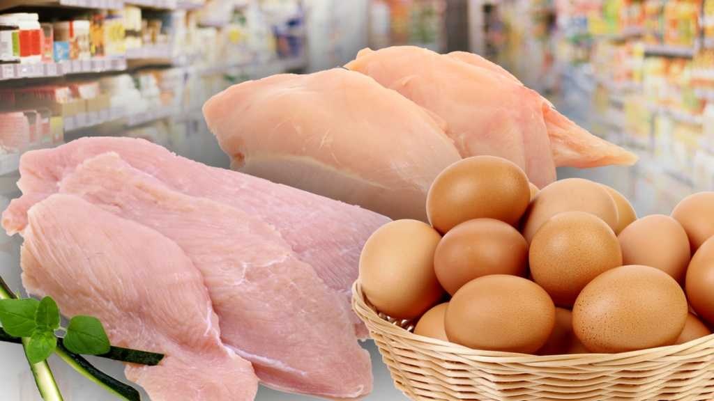 चिकन-अंड्यांच्या दरात घसरण Decline in chicken-egg prices