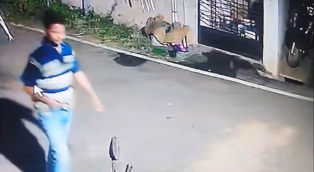 Movement of unknown suspects in the suburbs of Vadgaon