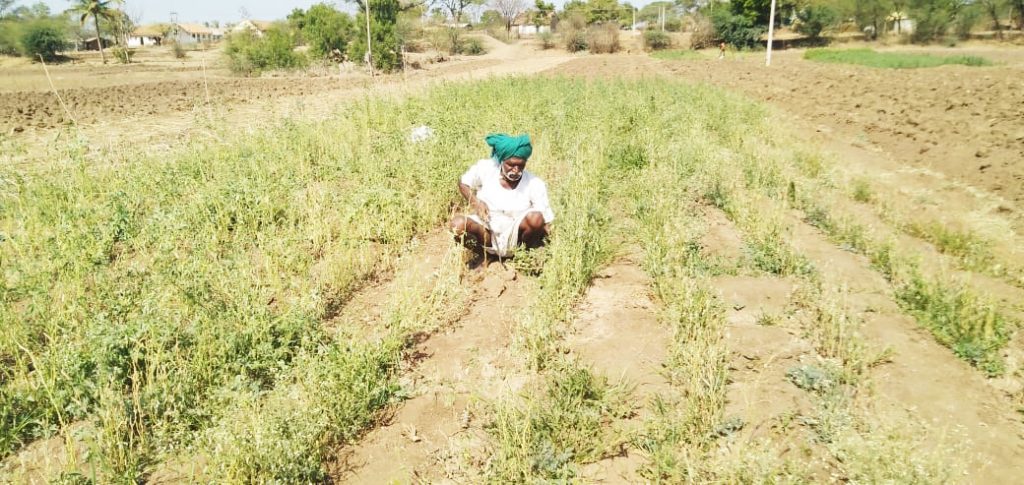 A heavy turn is expected in Khanapur taluka