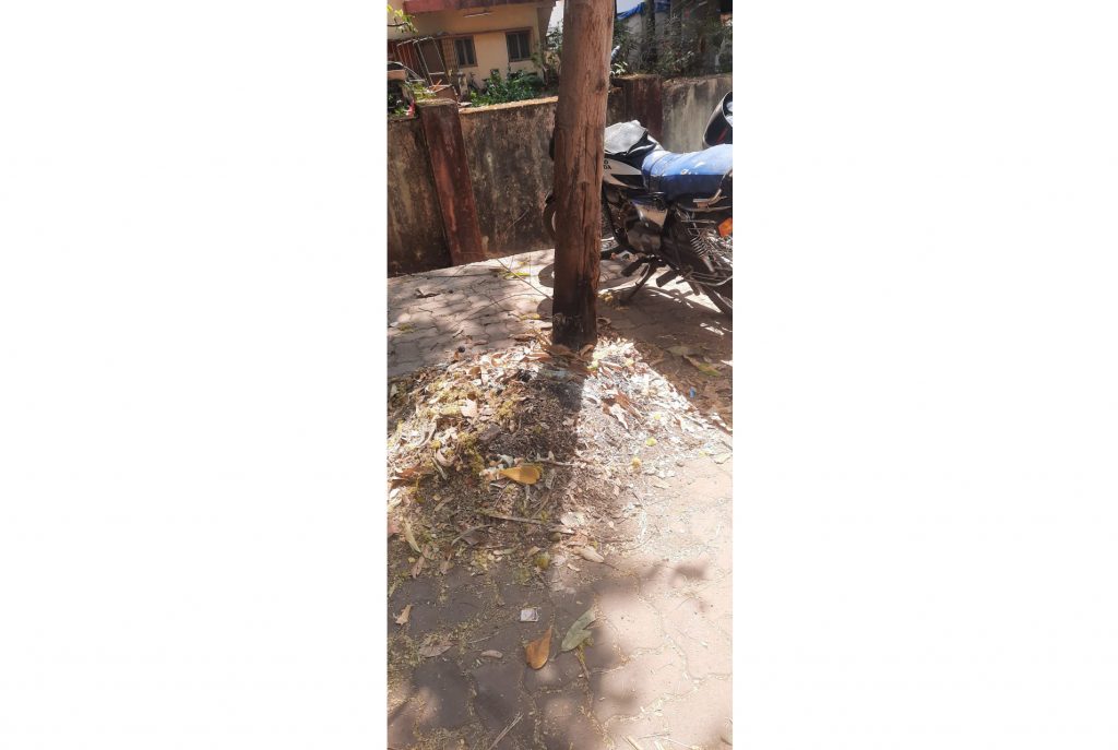 Types of setting fire to tree stumps in Bhagyanagar area