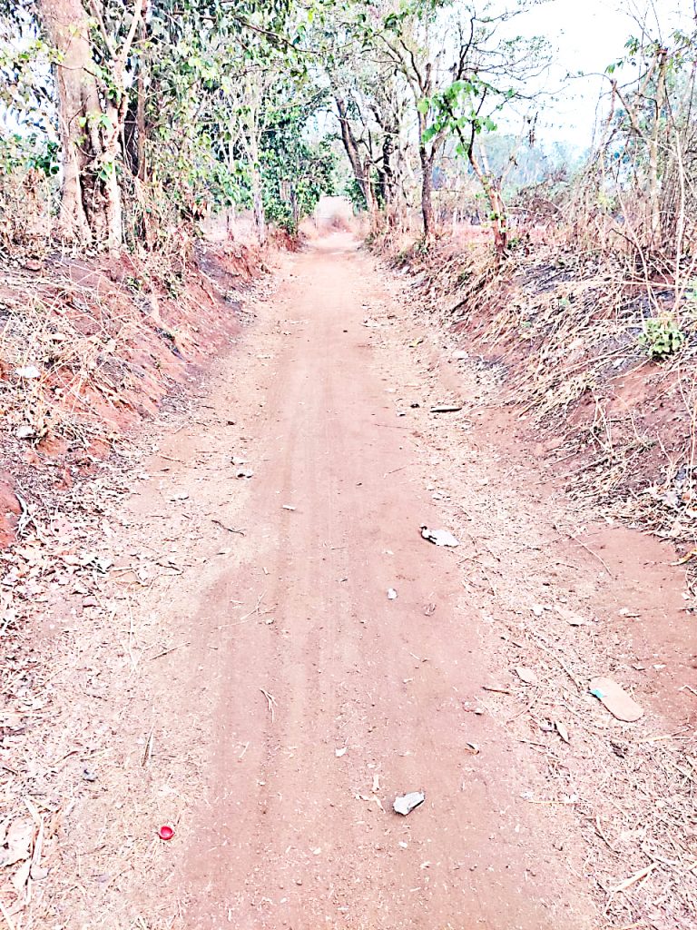 उचगाव मळेकरणी देवीच्या आमराईतील रस्त्याची दुर्दशा The plight of the road in Amrai of Uchgaon Malekarni Devi