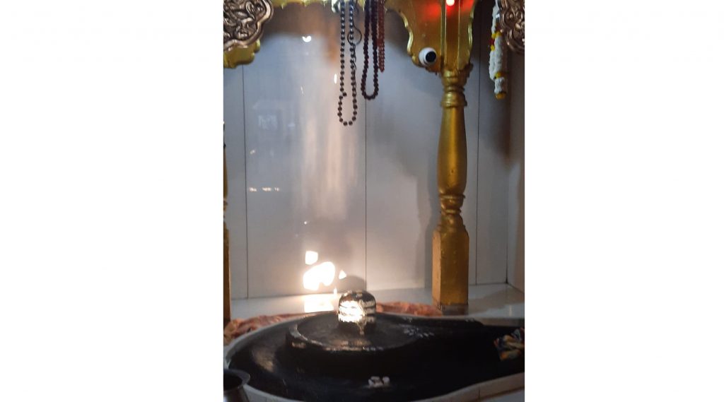 Kironotsava Shivlinga touched by sun rays at Kapileshwar temple