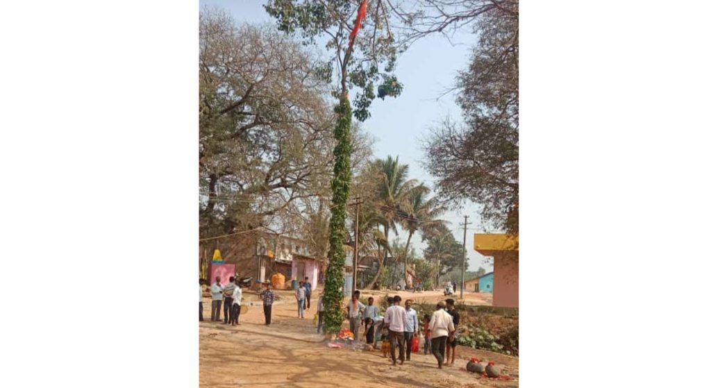 Color festival in the rural areas of Khanapur
