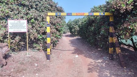 Belgaum-Savantwadi railway line has been neglected for six decades
