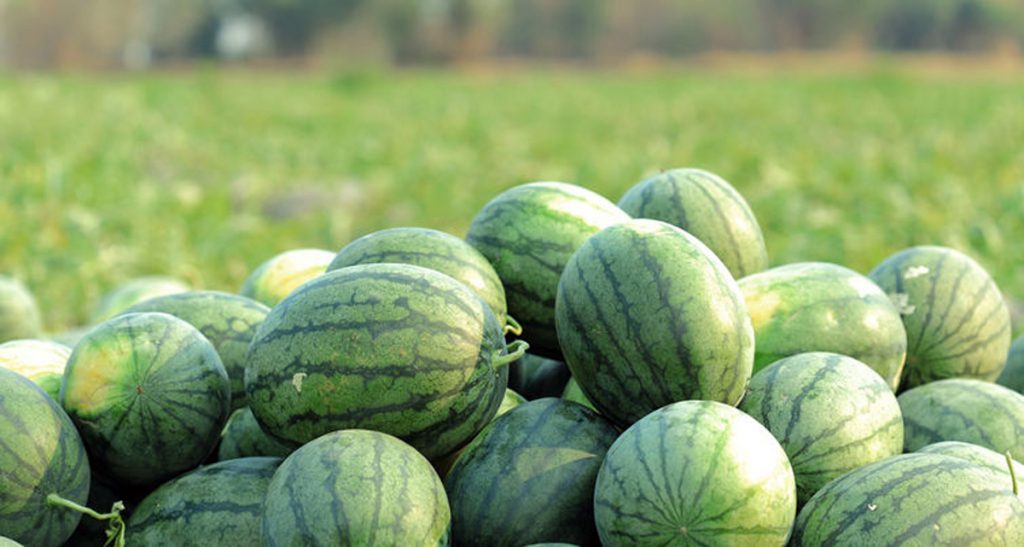 Achhe din for Kalingad with increasing summer