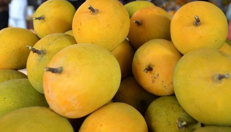 The arrival of Hapus is increasing in the fruit market