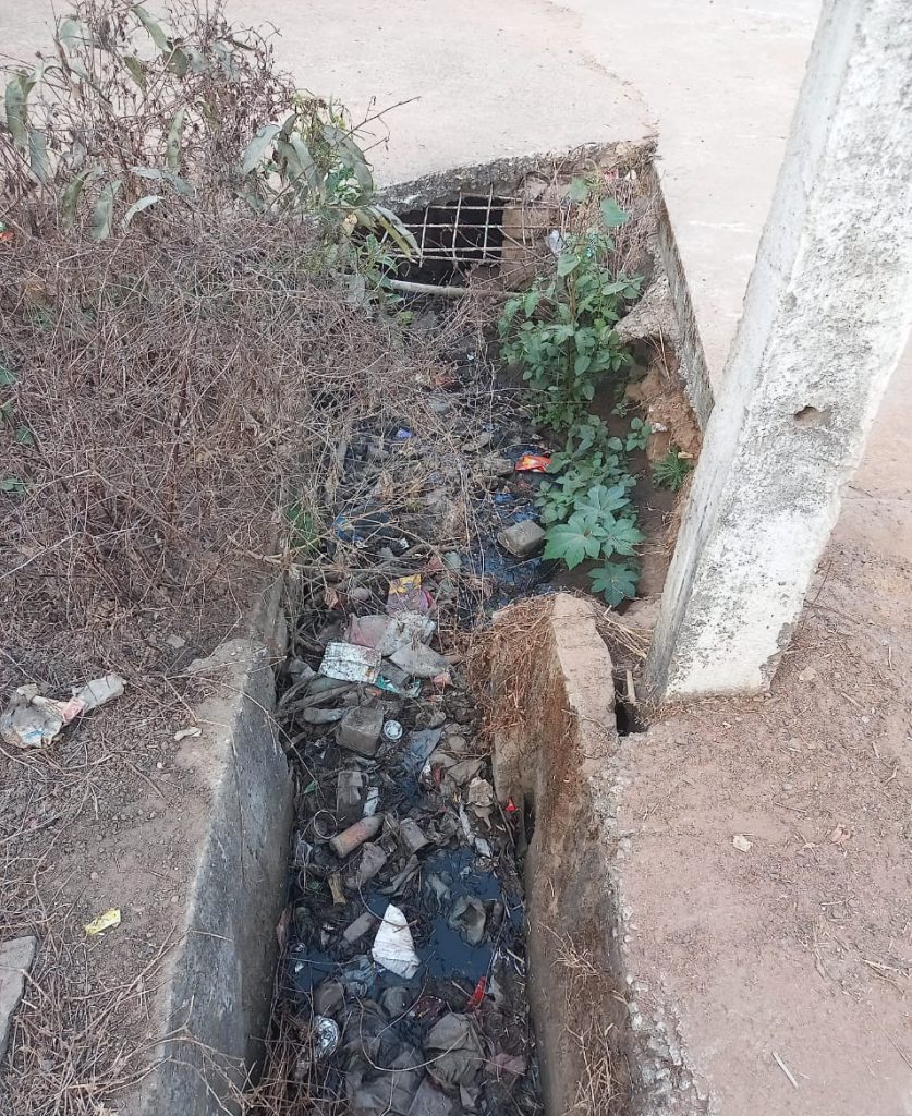 Mosquito infestation due to clogged drains